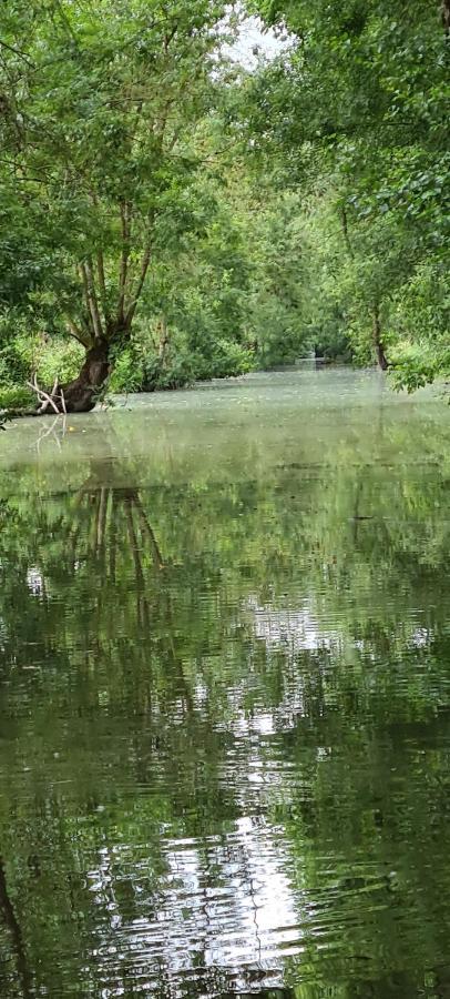 L'Enclos Bleu, Gite - Marais Poitevin Avec Piscine Chauffee Chaille-Les-Marais 외부 사진